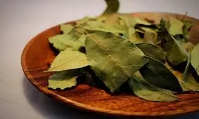 خواص برگ بو برای زیبایی پوست و رشد مو