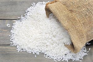مجلس درباره برنج چه خواهد کرد؟