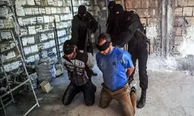 روایت سخنگوی پلیس از کشف یک شبکه هرمی پیچیده