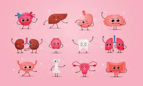 هر اندام دوستدار چه ورزشی است؟