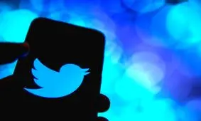 چرا آیت الله خامنه ای و ابراهیم رییسی تیک خاکستری دارند اما روحانی و قالیباف ندارند؟