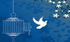 ۵ محکوم به قصاص با تلاش دادسرای امور جنایی تهران آزاد شدند

