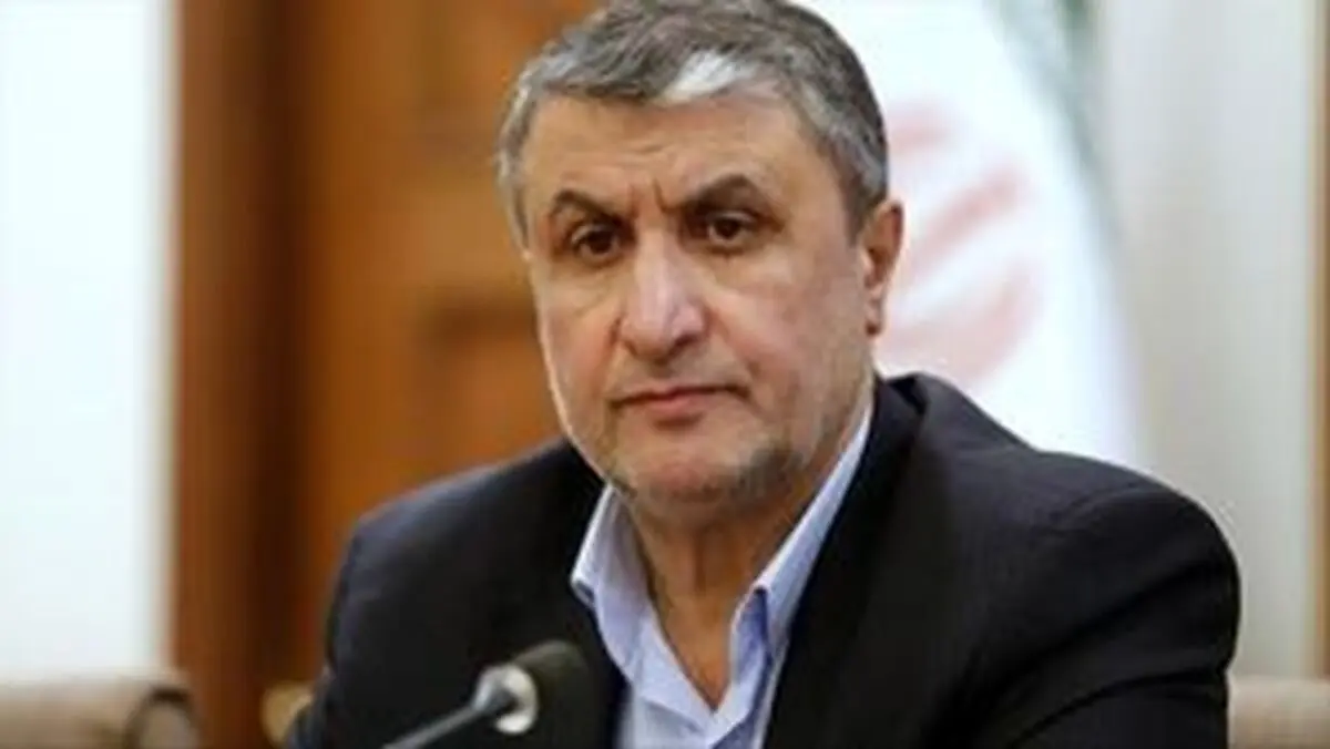 اقدام نظامی و تحریم برنامه هسته‌ای ایران را متوقف نخواهد کرد/ آماده همکاری سازنده با همسایگان عرب خود در زمینه هسته‌ای هستیم