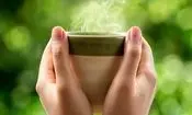 چگونه بهترین بهره را از چای سبز ببریم؟