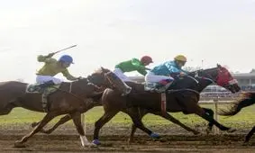 حمله به فدراسیون سوارکاری با چاقو و قمه/ قلی‌زاده:  می‌توانم جریان مرتبط به حمله اراذل را حدس بزنم/ برخی با تغییر تبار اسب ها از انگلیسی به ترکمن، پول هنگفتی به جیب می زنند