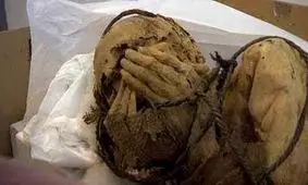 باستان‌شناسان یک مومیایی هزار و ۲۰۰ ساله در پرو کشف کردند/ ویدئو