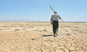 با وجود خشکسالی، مسئولان از کاشت محصولات آب بر در مناطق کویری دفاع می کنند