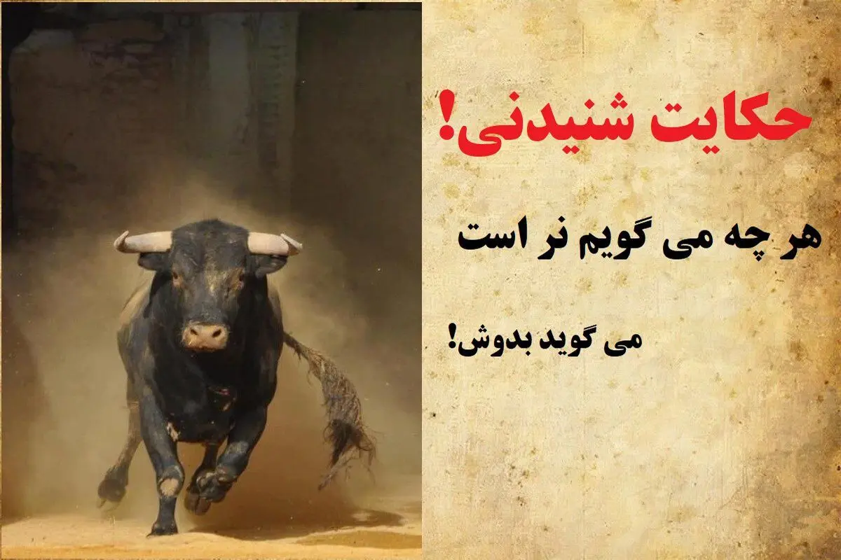 داستان پادشاهی که از گاو نر شیر خواست/ داستان بوجود آمدن ضرب المثل هر چه می گویم نر است می گوید بدوش