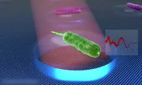  شنیده شدن صدای ریزترین موجود زنده جهان/ ویدئو