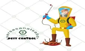 چگونه از شر ساس تختخواب خلاص شویم؟ + مشاوره رایگان سمپاشی ساس