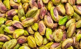 دانشمندان دانشگاه کالیفرنیا ژنوم پسته کرمان را توالی‌یابی کردند

