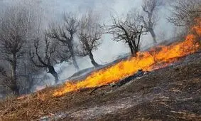 آتش سوزی گسترده در منطقه «رمون» ساردوئیه جیرفت/ ویدئو

