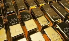 ۱۳ کیلو طلای قاچاق توقیف شده در فرودگاه امام تحویل مراجع ذیصلاح شد

