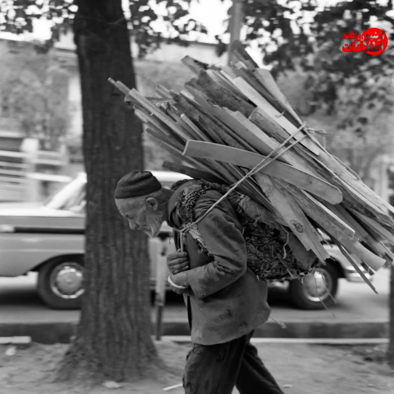 عکس‌/ آخرین هیزم‌فروشان تهران