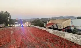 سرازیر شدن هولناک بار گوجه فرنگی در اتوبان/ ویدئو