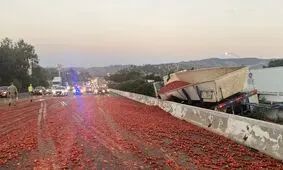 سرازیر شدن هولناک بار گوجه فرنگی در اتوبان/ ویدئو