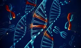 چرا از هر پنج فرد مبتلا به بیماری های خودایمنی چهار نفر زن هستند؟