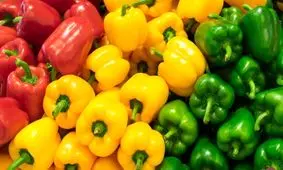 کدام فلفل دلمه ای رنگی مفیدتر است؟