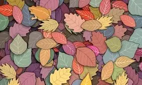 تست بینایی/ قورباغه پنهان شده در میان برگ ها را در 5 ثانیه پیدا کنید