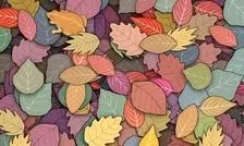 تست بینایی/ قورباغه پنهان شده در میان برگ ها را در 5 ثانیه پیدا کنید