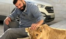 واکنش علی اکبری به تلف شدن شیرش در باغ وحش