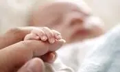 اعطای زمین ۲۰۰ متری به خانواده‌های دارای ۳ فرزند و بیشتر