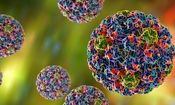 آیا درگیری با ویروس HPV حتما منجر به سرطان می‌شود؟/ ویدئو