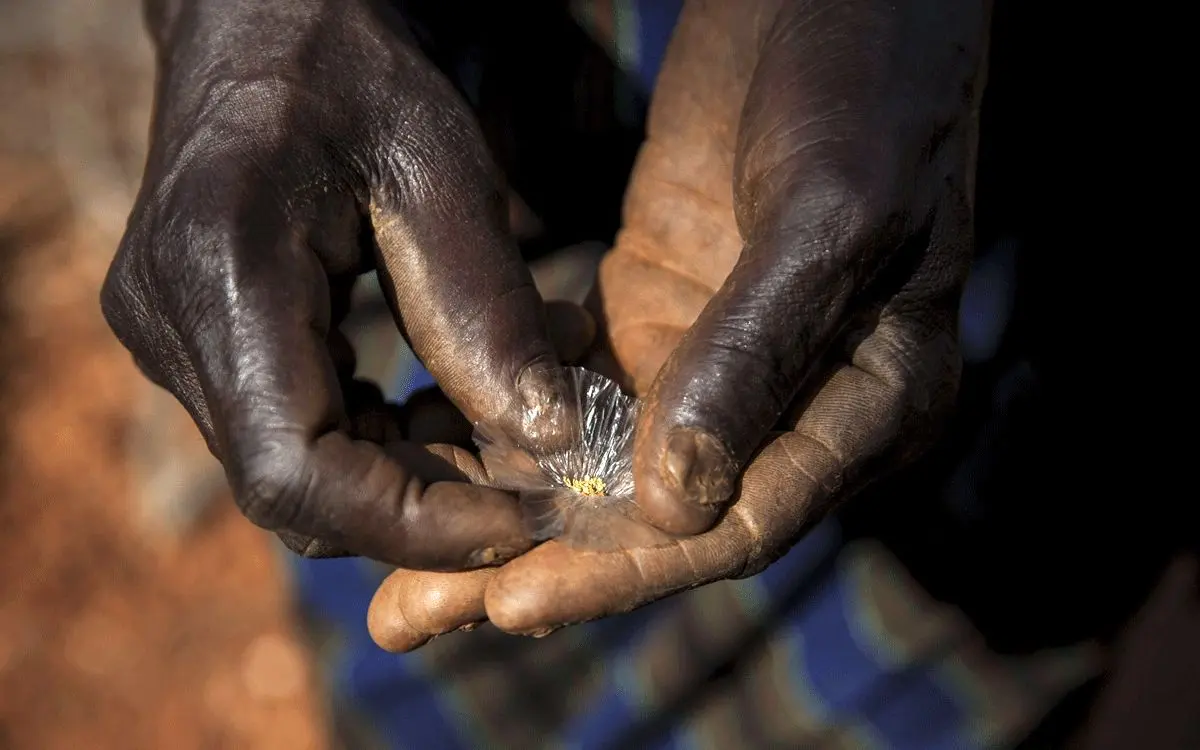 پوتین با طلای آفریقا به جنگ تحریم‌ ها می‌رود