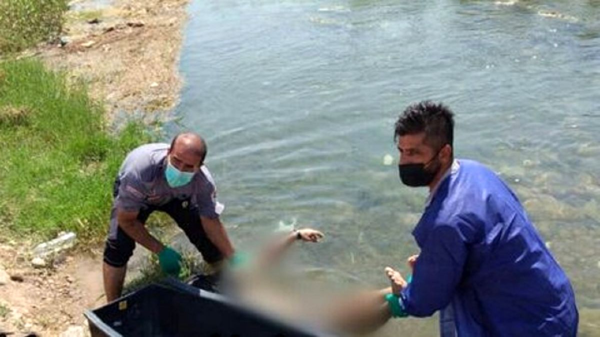 کشف جسد یک مرد در کانال آب شش راه اصفهان