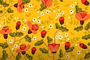 تست بینایی/ اگر فکر می‌کنید بینایی ۲۰/۲۰ دارید، پس پروانه را در میان گیاهان تنها در ۶ ثانیه تشخیص دهید