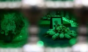 شاید بتوان با آزادی زنان دربند سیاسی از جمله خواهرمان فائزه، مرهمی بر زخم ها گذاشت

