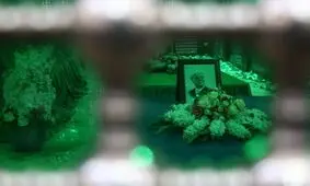 شاید بتوان با آزادی زنان دربند سیاسی از جمله خواهرمان فائزه، مرهمی بر زخم ها گذاشت

