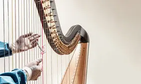 علم پزشکی چیزی از درد آدم‌‌‌‌ها نمی‌داند