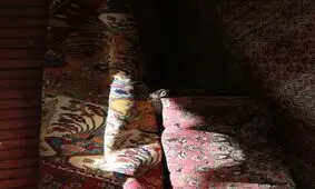 تصاویری جذاب از صنایع دستی بازار پروانه تهران