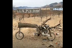 موتوری عجیب و غریب ساخته شده با تنه درخت/ ویدئو
