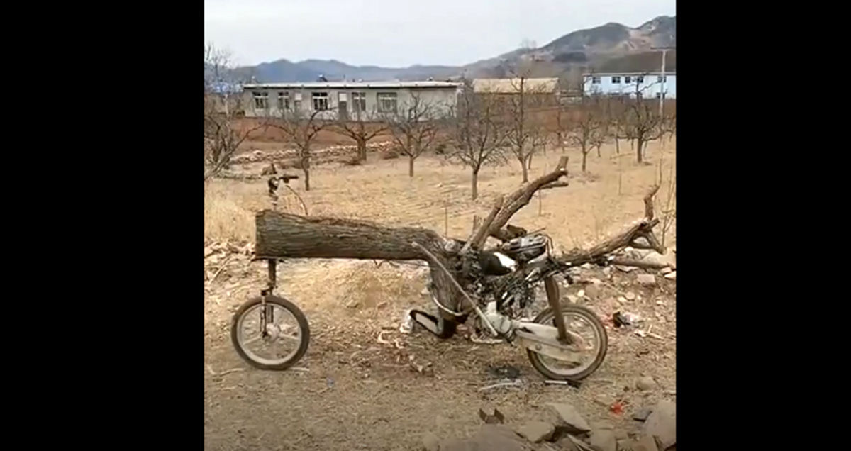 موتوری عجیب و غریب ساخته شده با تنه درخت/ ویدئو