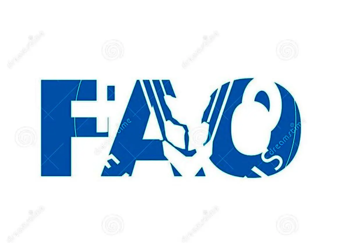 هشدار سازمان خواربار و کشاورزی ملل متحد درباره تبعات جهانی بحران خلیج فارس  

