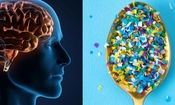 ریزپلاستیک‌ها چند درصد مغز ما را اشغال کرده‌اند؟

