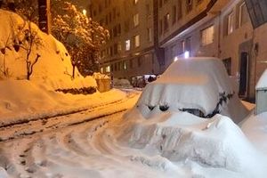 بحران سفید در پایتخت؛ چالش شهرداری با بارش برف فقط در چند منطقه تهران!/ زاکانی کجا بود؟
