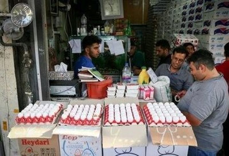 کاهش قیمت تخم مرغ به زیر نرخ مصوب/ قیمت هرشانه تخم مرغ چند؟