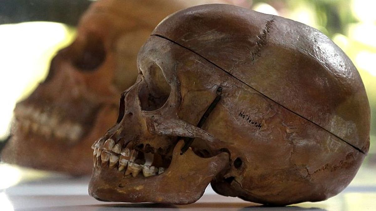 انسانهای اولیه احتمالا مغز مردگان را میخوردند و جمجمهشان را کاسه میکردند