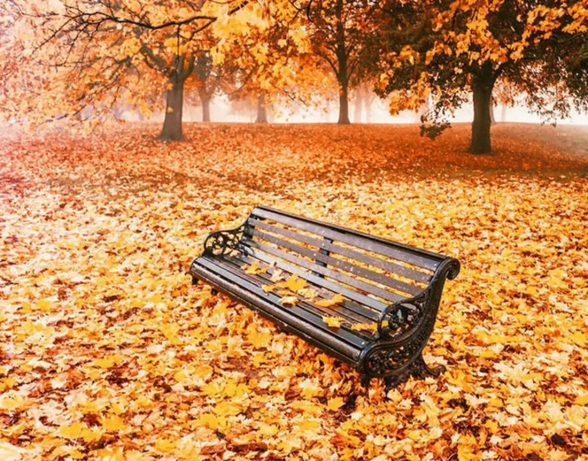 تصاویری متفاوت از پاییز زیبای کاخ سعد آباد