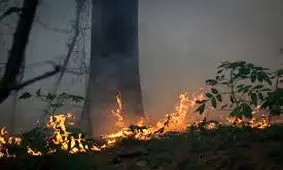 آتش‌سوزی گسترده در آرژانتین/ ویدئو 