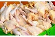 قیمت مرغ اعلام شد