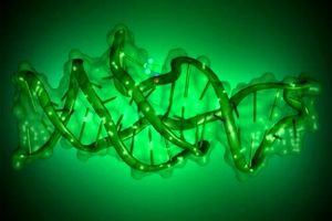 کشف جدید دانشمندان در مورد «DNA»
