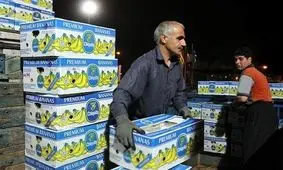 کارتن موز هم قیمتی شد/ دانه‌ای ۲۵ هزار تومان