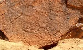 کشف «شترهای 12 هزارساله» در بیابان‌های عربستان/ عکس