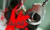 شبکه آدم‌ربایی مسلحانه در تهران شناسایی شد/ گروگان‌ها قبل از پرداخت باج آزاد شدند 