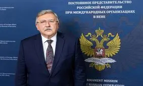 نماینده روسیه: آژانس نباید وظایف خود را با وظایف تهران اشتباه بگیرد