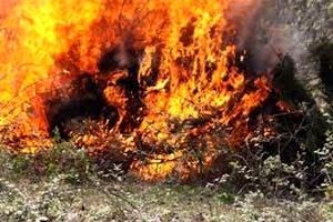 مرگ یک کشاورز در حادثه آتش‌سوزی